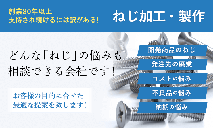 73％以上節約 マイナスネジ M3 長さ8mm 鉄 平小ねじ 10本