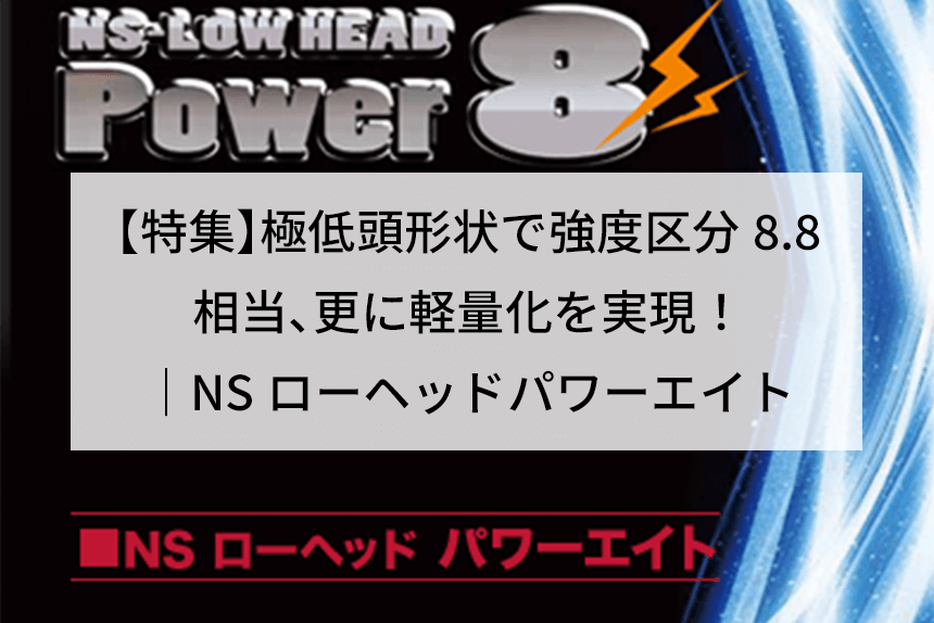 完璧 高強度ボルト用鋼 酸化鉄被膜 極低頭 NSローヘッド <BR>パワーエイト Power8 Ｍ１２×４５ 小箱